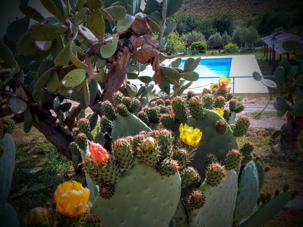 ノート Agriturismo Timpa Del Soleヴィラ エクステリア 写真