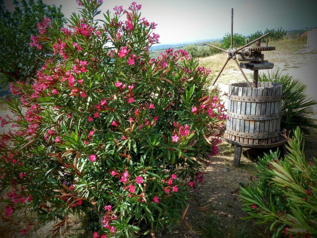 ノート Agriturismo Timpa Del Soleヴィラ エクステリア 写真
